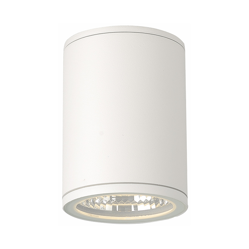 Ceiling Lights