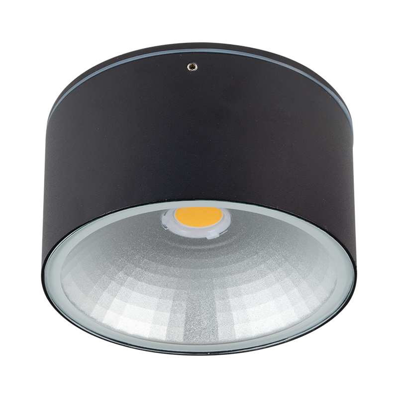 Ceiling Lights