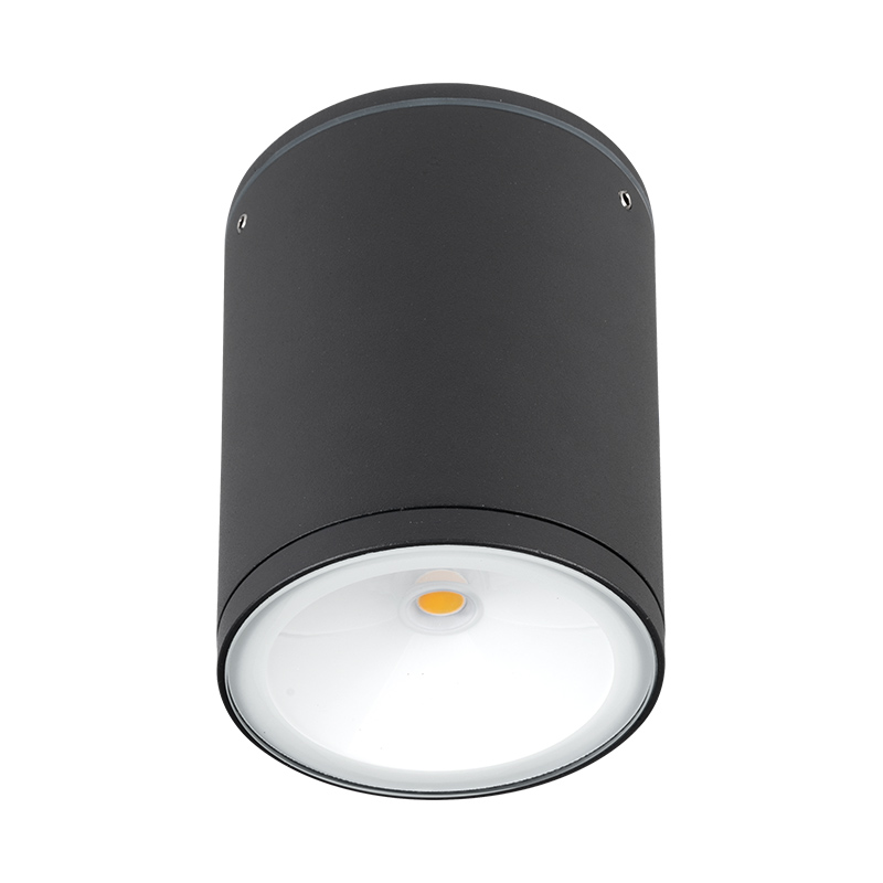 Ceiling Lights