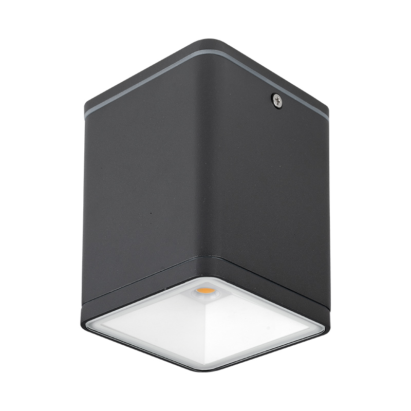 Ceiling Lights