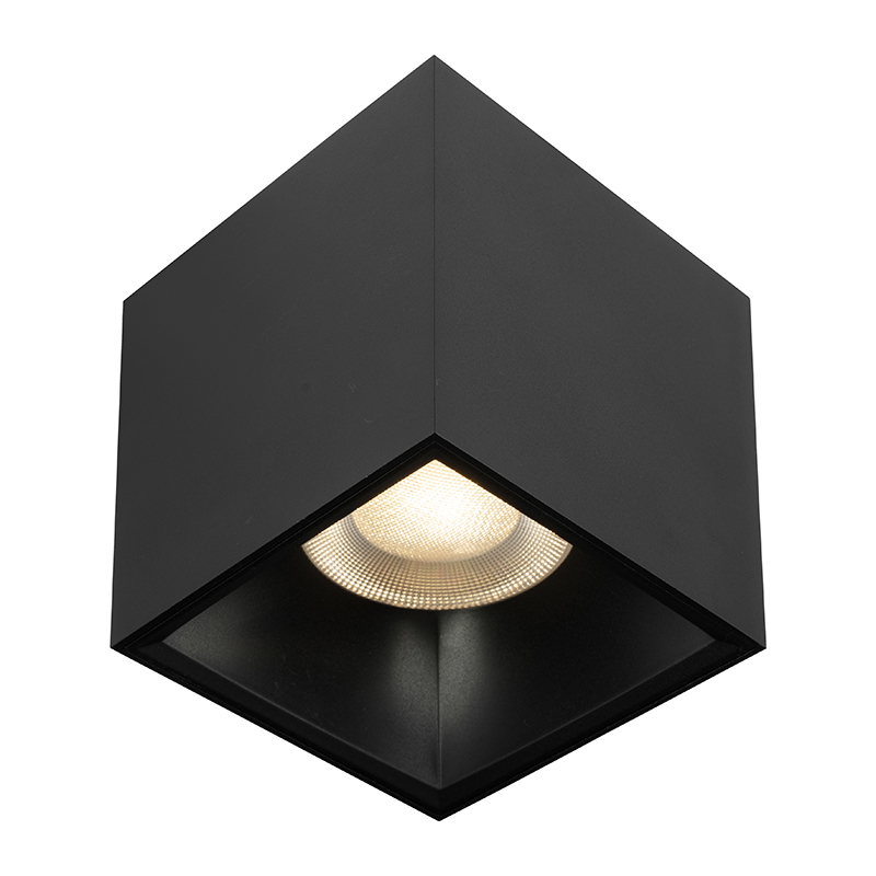 Ceiling Lights